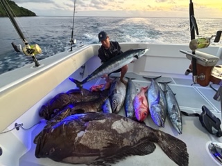 One days haul of grouper, wahoo, and snapper