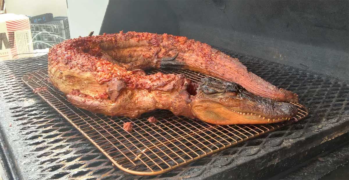 Gator smoker outlet